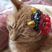 IUの画像
