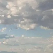 XD