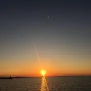 msoの画像