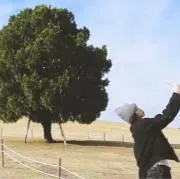 断捨離