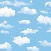 Hana015の画像