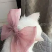 m♡の画像