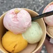 Srの画像