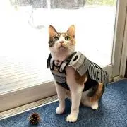 那珂