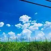 ぺーさんの画像