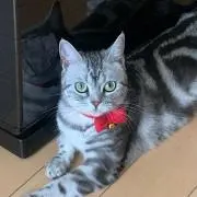 fran