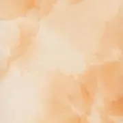 プリンの画像