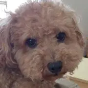 かずよ