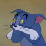 茂茶の画像