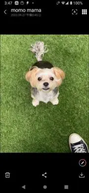 空の画像