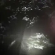 ぱん