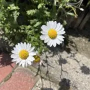 hirokou33の画像