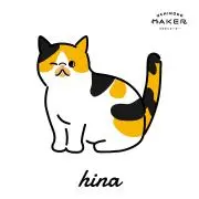 icoの画像