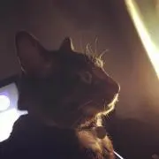 カズハル