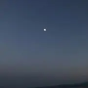 にゃん