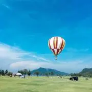 れもんの画像