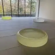 ＴＴの画像