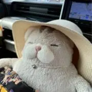 おみの画像