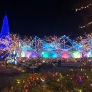 sappiの画像