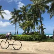 キラキラ✨✨の画像