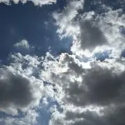 甘党の画像