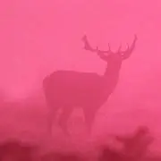 うんさん