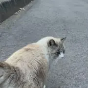 すんの画像