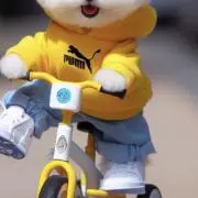 うっちゃんの画像
