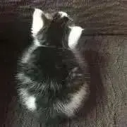 ルンル