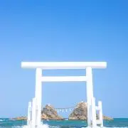 青リンゴの画像