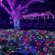 nnhの画像