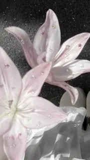 さな