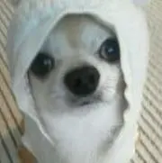 たっくん
