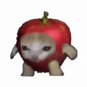 ネコキャッツの画像