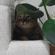 のりたま★プロフ必読★