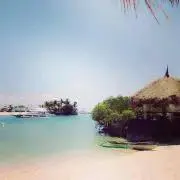 miiの画像