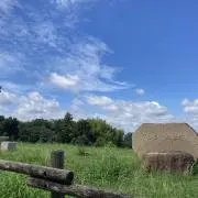 ドレミの丘の画像
