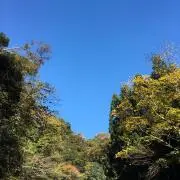 Greenの画像