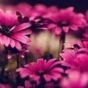 ♡♡M♡♡