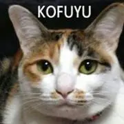 たかのこ