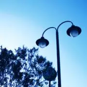 蒼