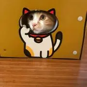 くろまめ屋