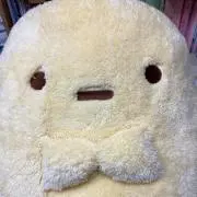 yukimiの画像