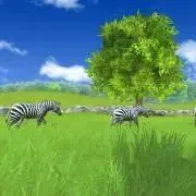 ちゃんぱむ
