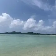 ハム太の画像