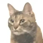 ダ王