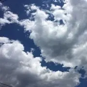 Kiaの画像