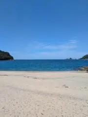 tomoさんの画像