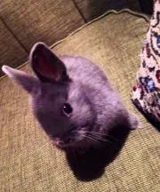 かむちゃんの画像