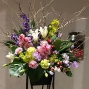 ☆まろんの画像